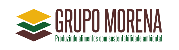 Grupo Morena