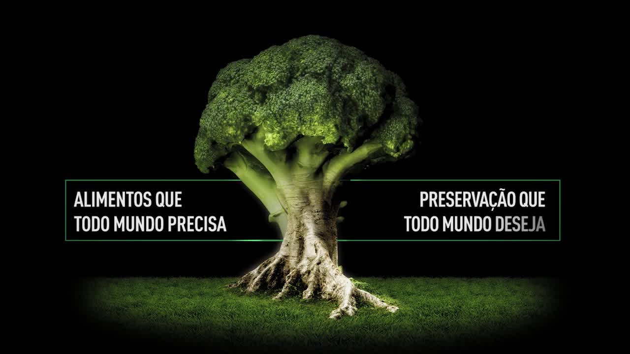 Produção e preservação