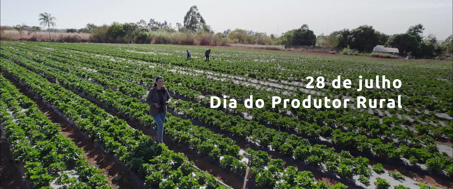 Dia do Produtor Rural